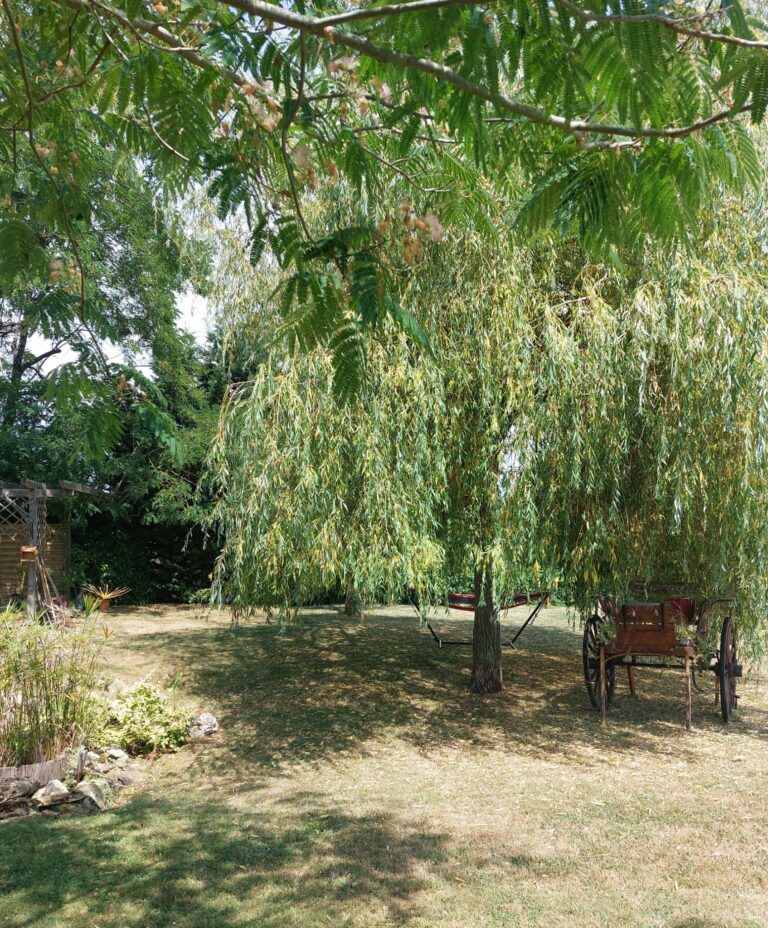 IMG-20250706-WA0002